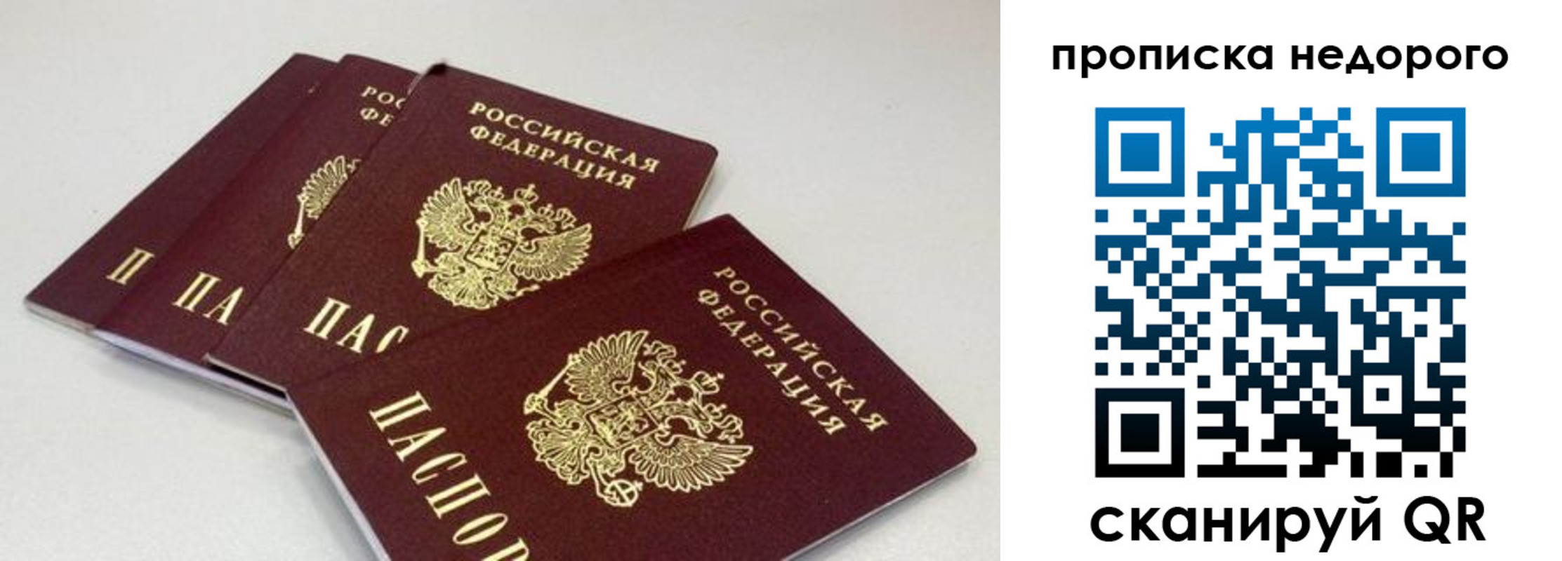 прописка штамп в Волгограде