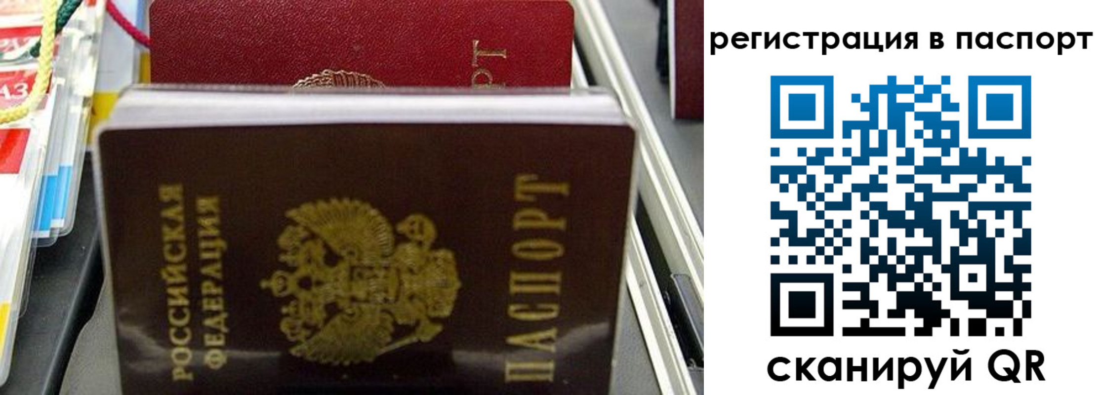прописка для школы в Волгограде